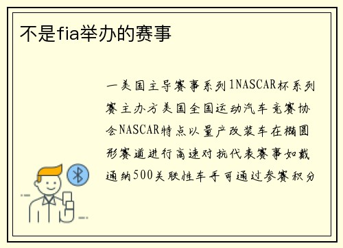 不是fia举办的赛事